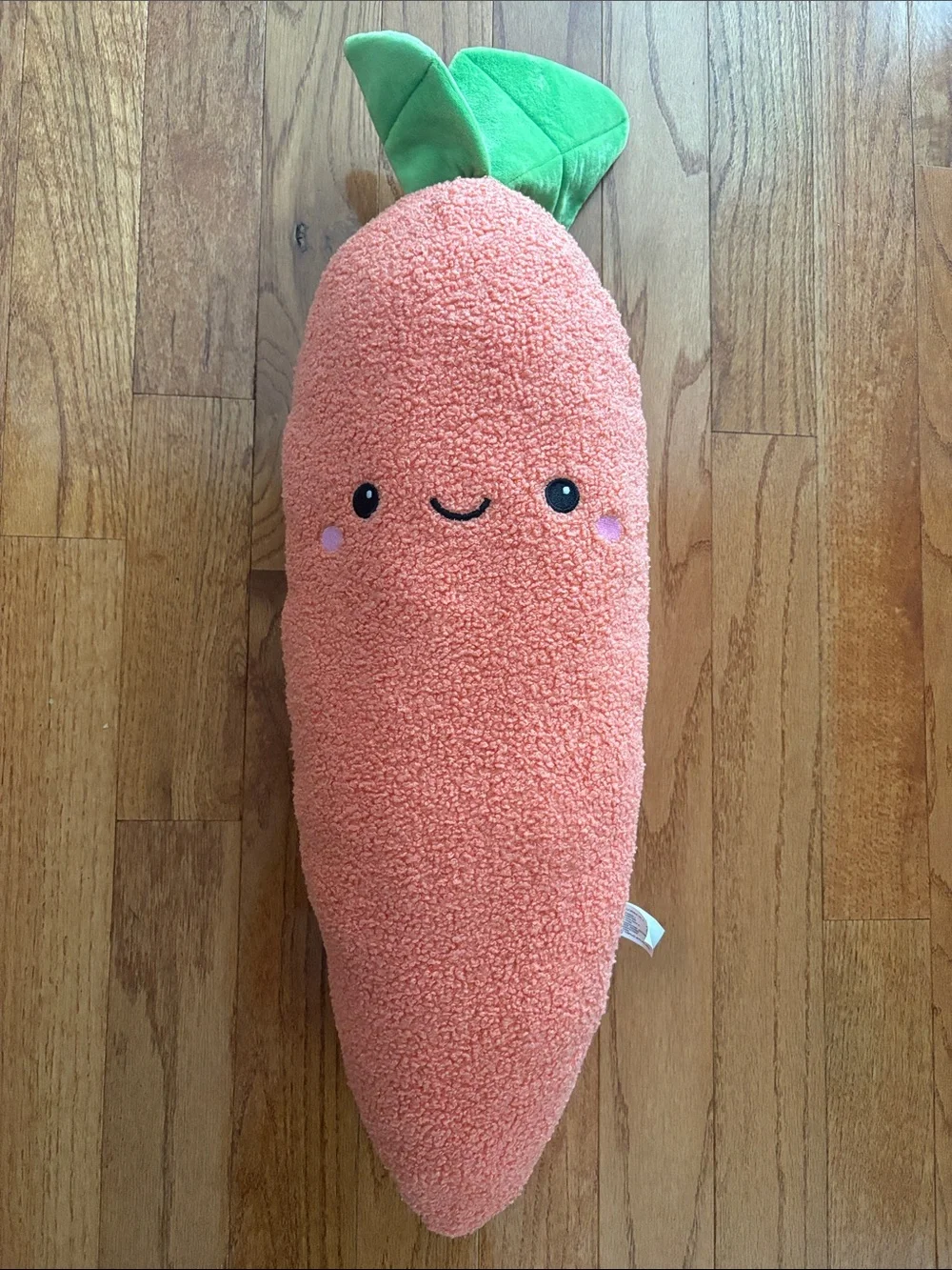 Giant carrot dog toy